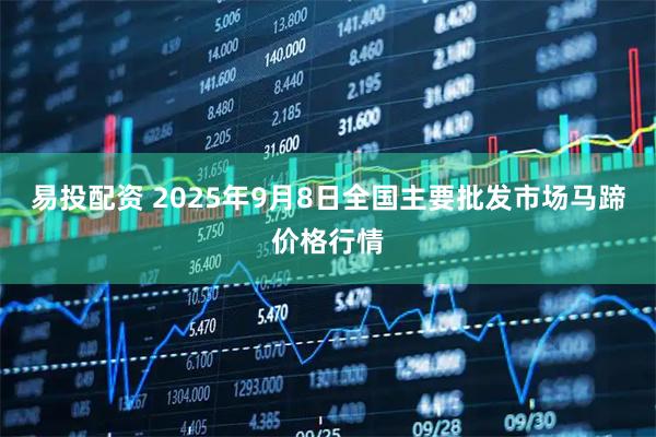 易投配资 2025年9月8日全国主要批发市场马蹄价格行情