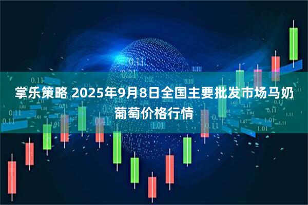 掌乐策略 2025年9月8日全国主要批发市场马奶葡萄价格行情