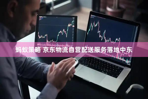 蚂蚁策略 京东物流自营配送服务落地中东