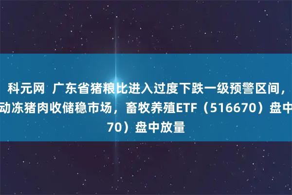 科元网  广东省猪粮比进入过度下跌一级预警区间，将启动冻猪肉收储稳市场，畜牧养殖ETF（516670）盘中放量